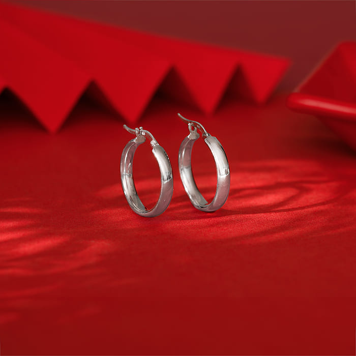 Silver Elegant Round Hoop Earring