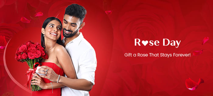 AUGOLA Valentines Day Gifts for Her Galaxy Rose, India | Ubuy